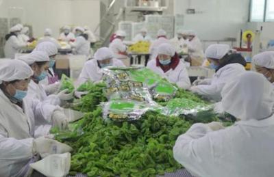 看“四园”促发展 2019网络媒体周至行采风活动圆满落幕，聚焦食品销售创新